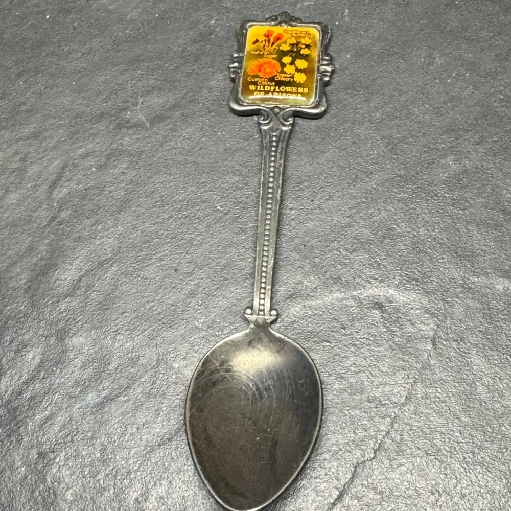 Vintage Perfection Galaxy Wildflowers of Arizona Souvenir Spoon Silver Plated